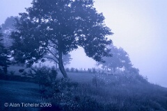 Misty Morning in Blue (Annapolis Royal, Nova Scotia) . . . © 2005 Alan Ticheler. All rights reserved.