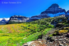 Reynolds Mountain Overlooking Alpine Meadow (Glacier National Park, Montana) . . . © 2014 Alan Ticheler. All rights reserved.